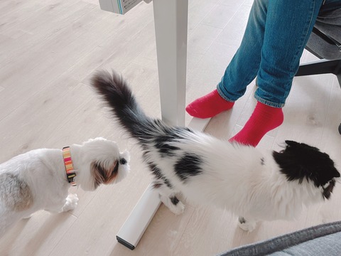 2022-08-23_09-41-48_940 (1)