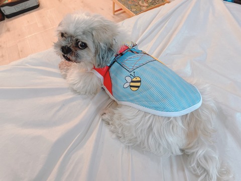 2023-04-14_17-03-04_581