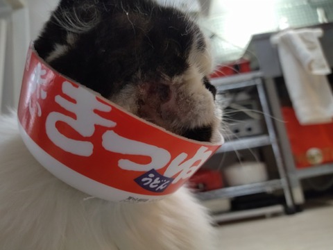 wH7wtVKTS_eOFr2qi6R_MQ (1)