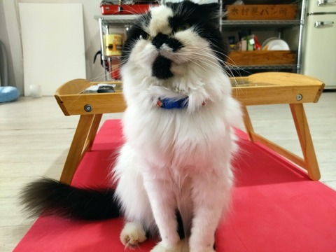 ZHVxA5FXRWy2HPYDGY1ytg