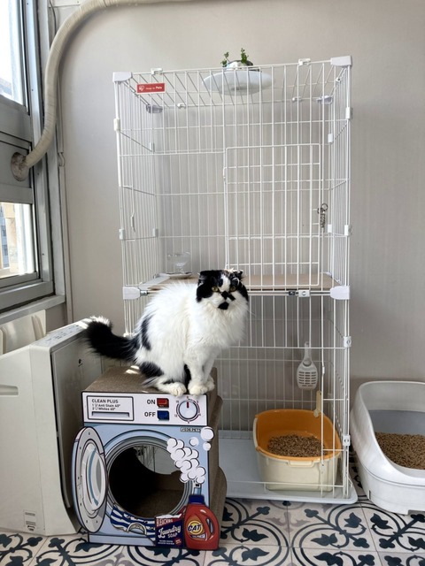 アイリスオーヤマのスリムタイプキャットゲージ 2段 買ってよかった猫グッズ｜安くておしゃれなオススメペット用品10選【2021年】