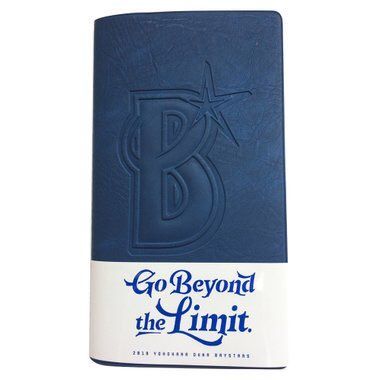 オススメ手帳、スケジュール帳その3：プロ野球手帳（ベイスターズ手帳）