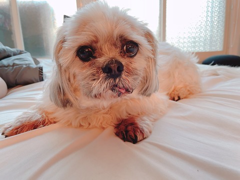 2023-04-09_17-42-07_446