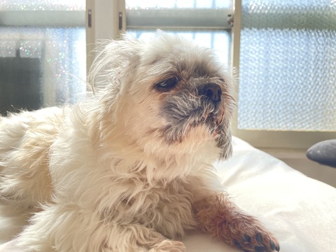 2023-04-10_08-15-30_363