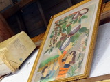 八平 (5)
