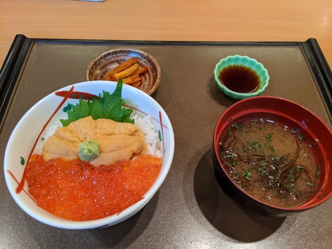 うにむらかみ (1)