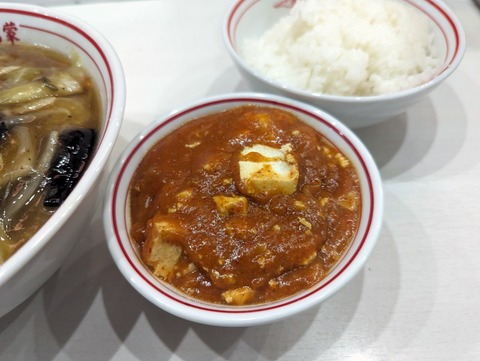 中本 単品麻婆半ライス