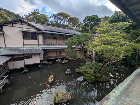 新井旅館　池