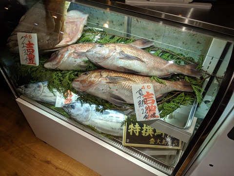 ウミのチカラ　冷蔵ケース