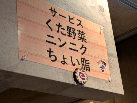 NO11 (4)