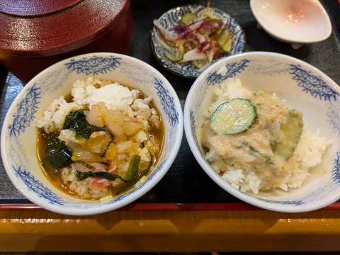 ほづみ亭 (2)
