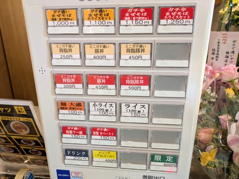 ガチで濃いヤツ (3)
