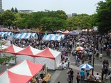 ラオスフェス (1)