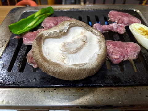 綾城 しいたけ
