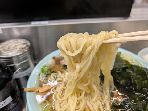 新橋ニューともちん (3)