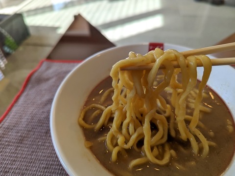 すごい煮干ラーメン (1)