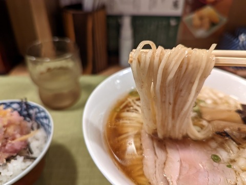鴨&葱 麺