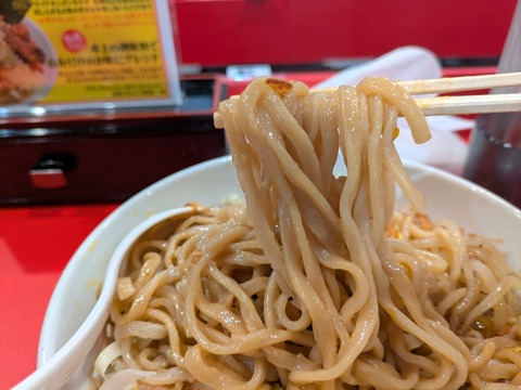 豚NOVA (2)