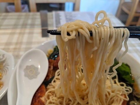 龍華園 麺