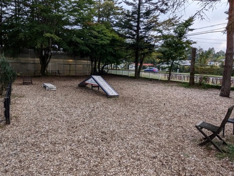 PXL_20241026_072911441