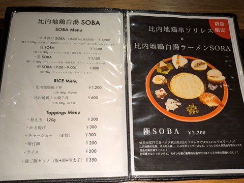 SORA (1)