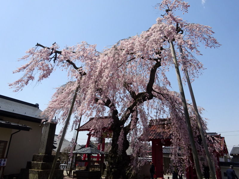 DSC01911