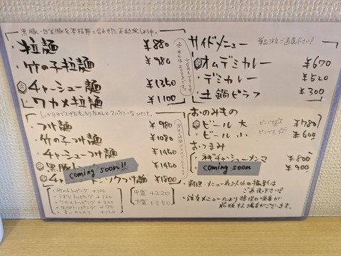 六琴 (5)