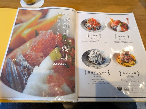 yoshi魚tei (5)