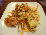モモチャチャ　パリパリソフトクラブシェル