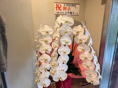 玉川屋酒店 人生餃子