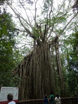 P1000761