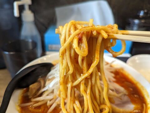 田坂屋 麺