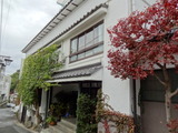 緑屋 (2)