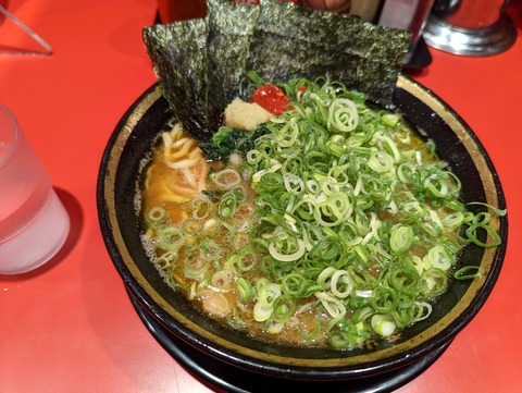 環2家 ラーメン九条ネギ