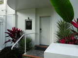 alamanda palm cove