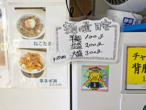 みなみ 麺量