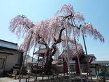 福島 妙関寺 (6)-1