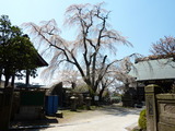 福島 法永山 (3)