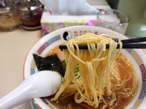 カナキン亭 麺