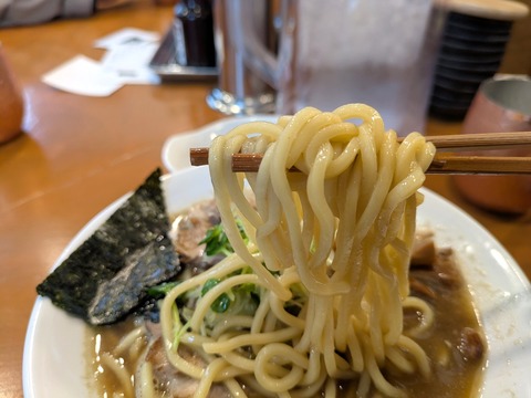 深だし煮干中華そばばつぐん (6)