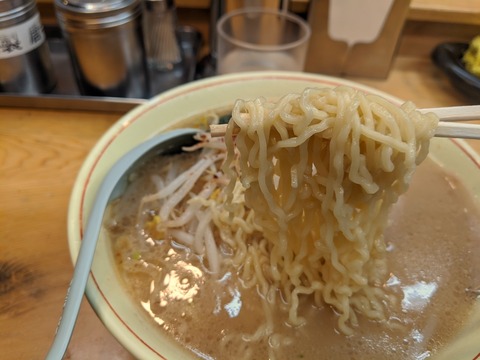 ホープ軒本舗 麺