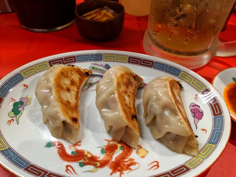 三度の飯より餃子好き 大餃子