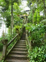 P1000706