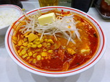 中本 北極の超