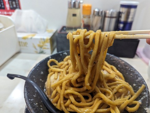 一山家 太麺