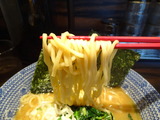 東京煮干屋本舗 麺