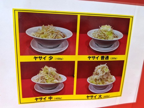 ノックアウト ヤサイの量