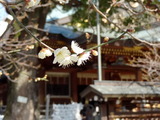 DSC01180-001