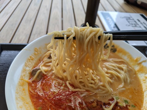 らーめん錦 麺