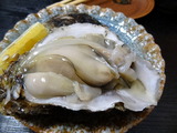 DSC05368